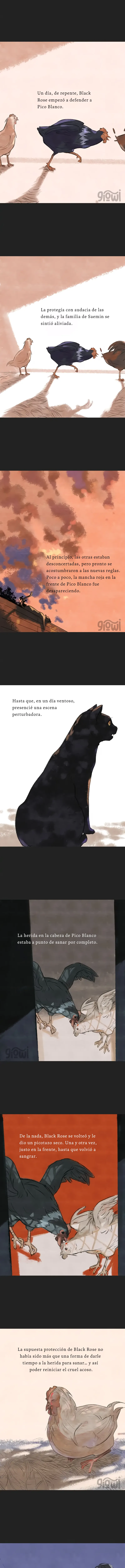 3 Relato Felino