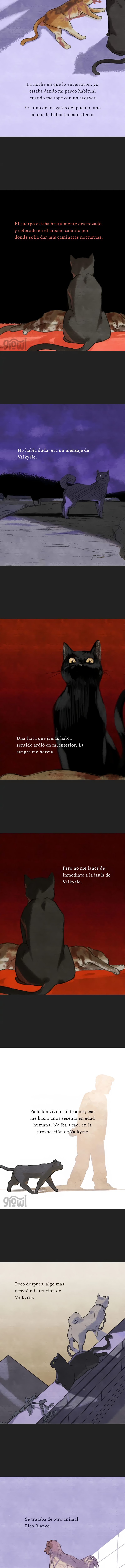 4 Relato Felino