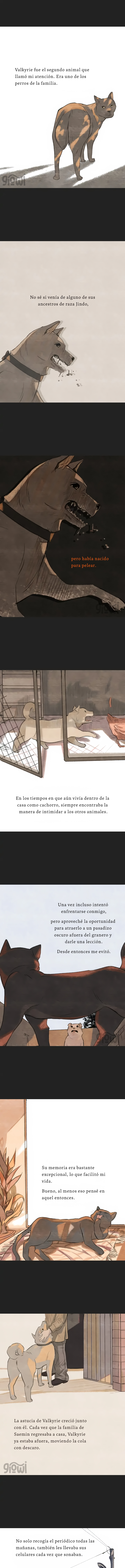 0 Relato Felino