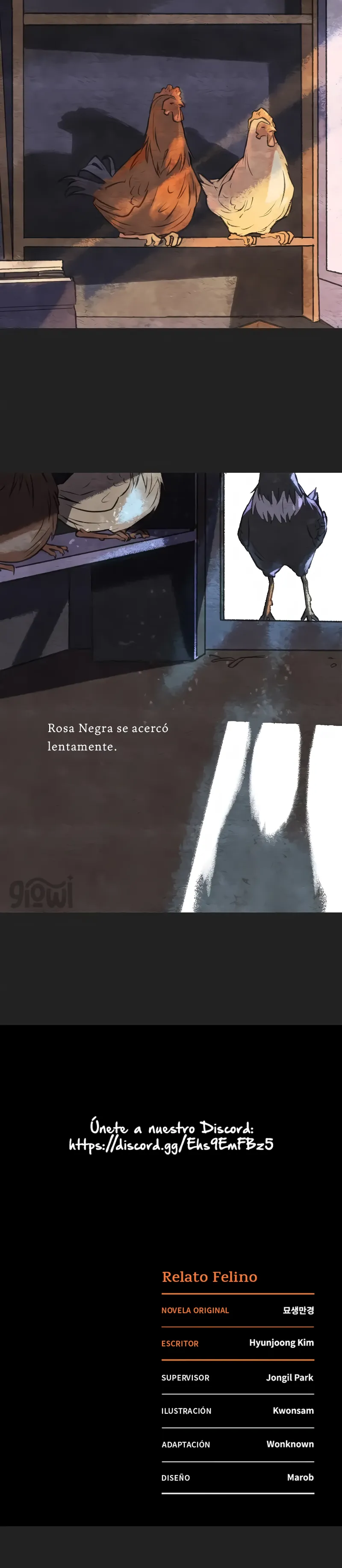 4 Relato Felino