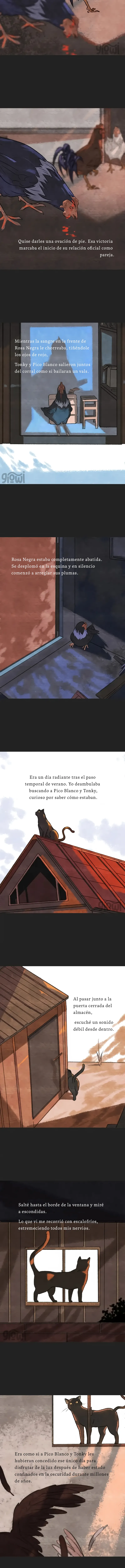 2 Relato Felino