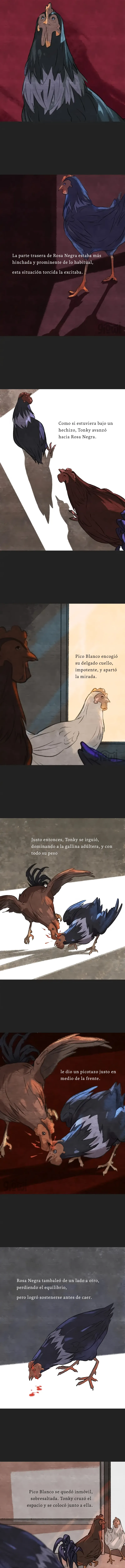 1 Relato Felino