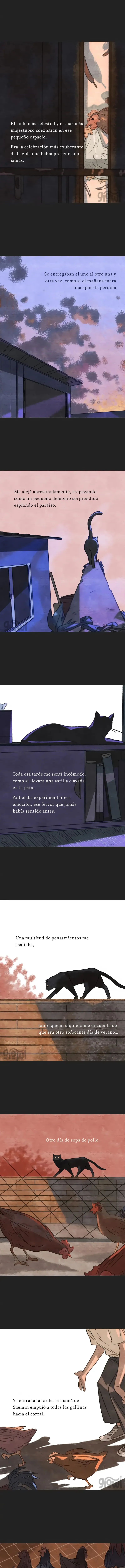 3 Relato Felino
