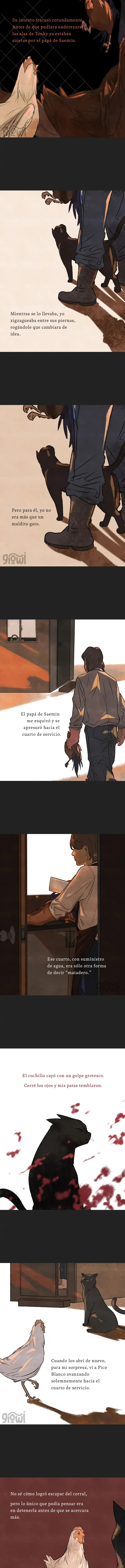 3 Relato Felino