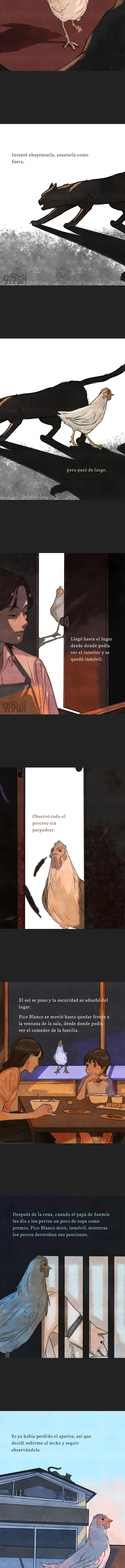 4 Relato Felino