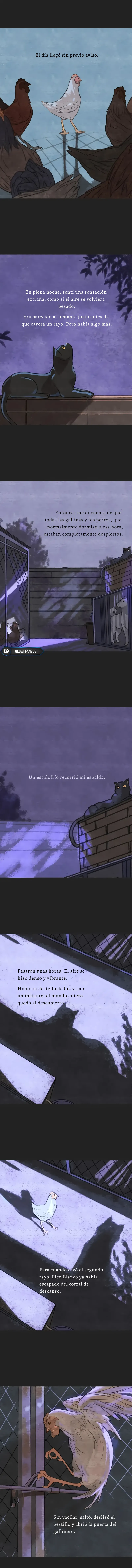 1 Relato Felino