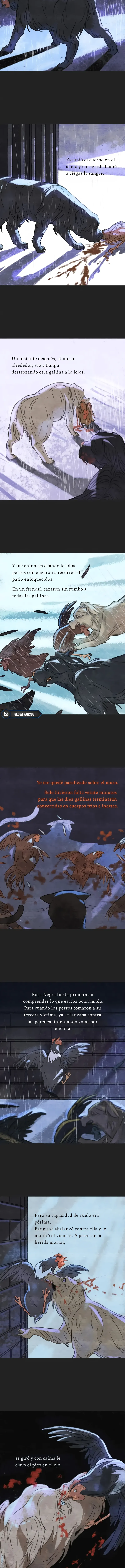 4 Relato Felino