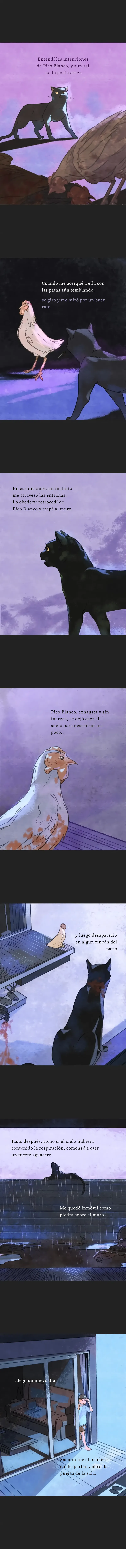 2 Relato Felino