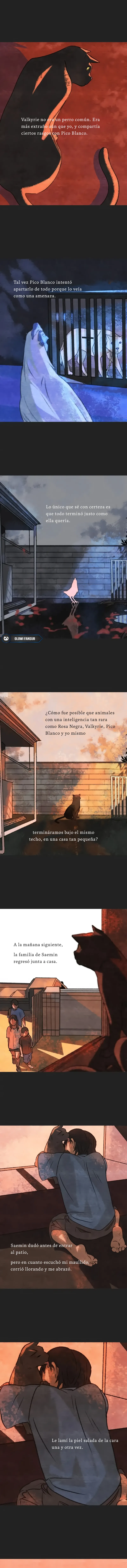 4 Relato Felino