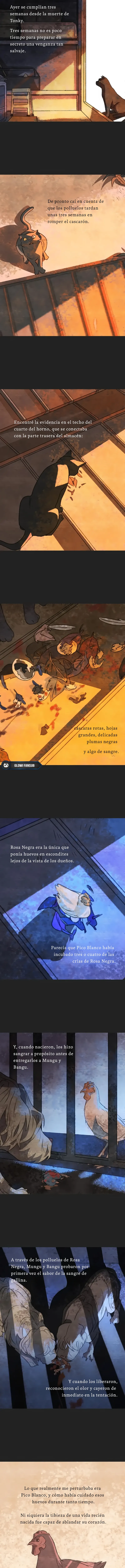2 Relato Felino