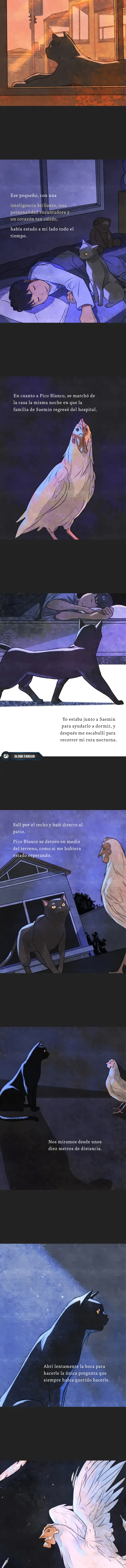 2 Relato Felino