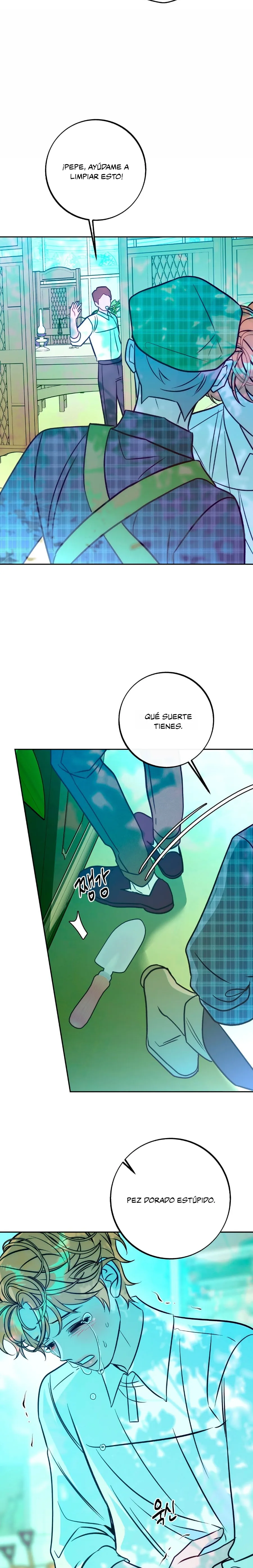 13 Mansión orca