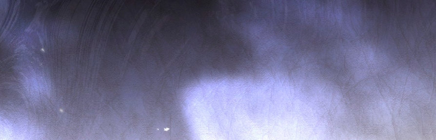 20 El tiempo de la bestia ciega