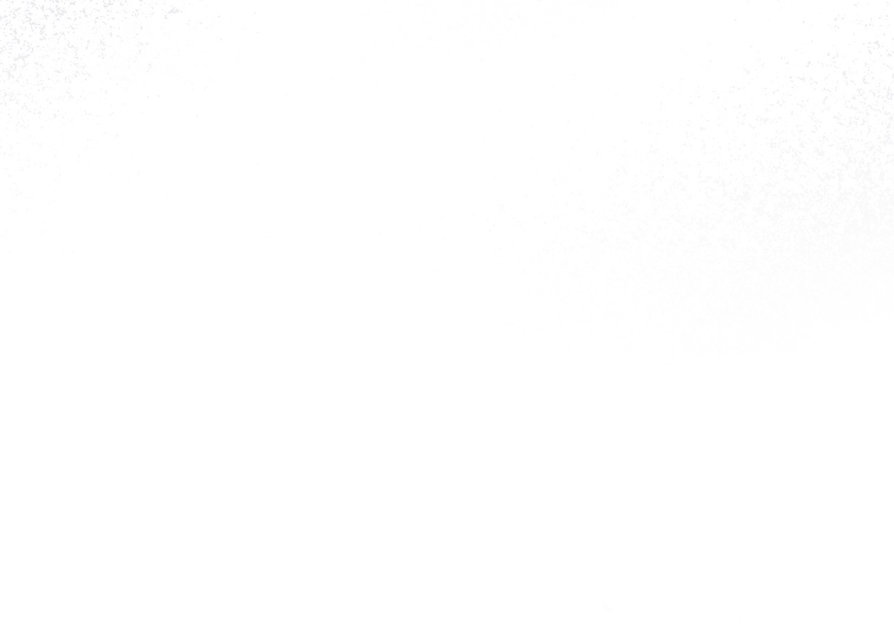 65 El tiempo de la bestia ciega