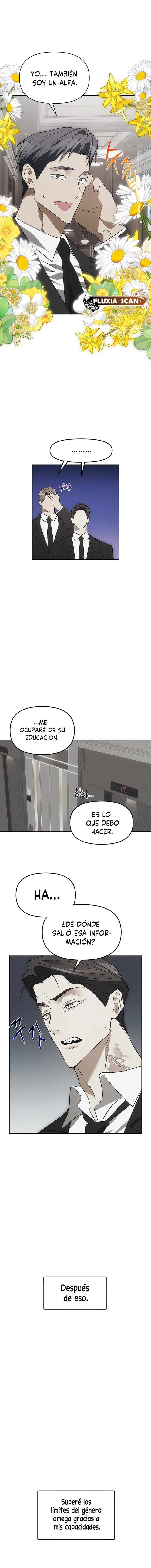 3 Trampa para ratones