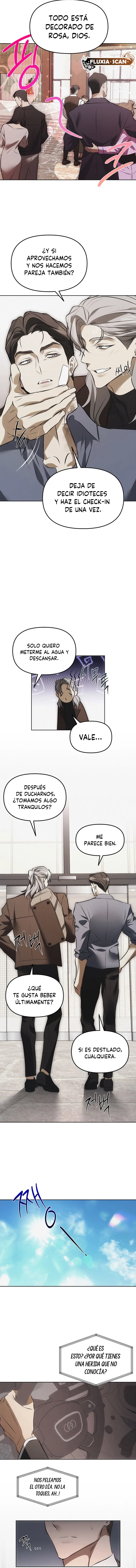 10 Trampa para ratones
