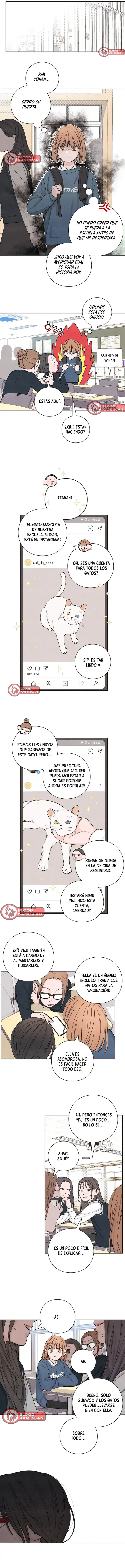 7 Revelación De la Juventud