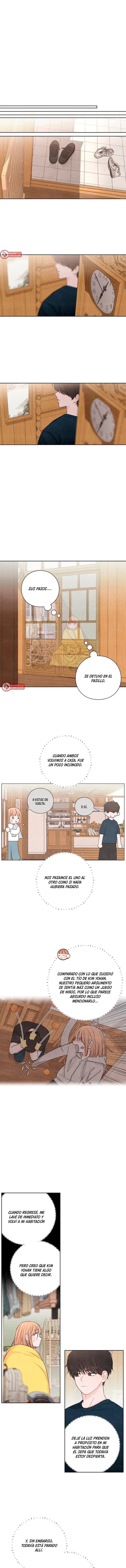 5 Revelación De la Juventud