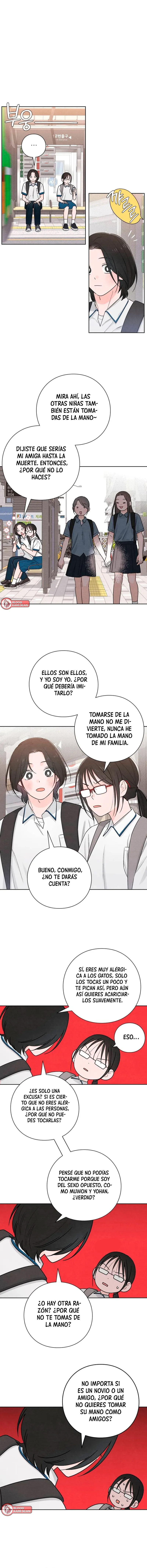 6 Revelación De la Juventud