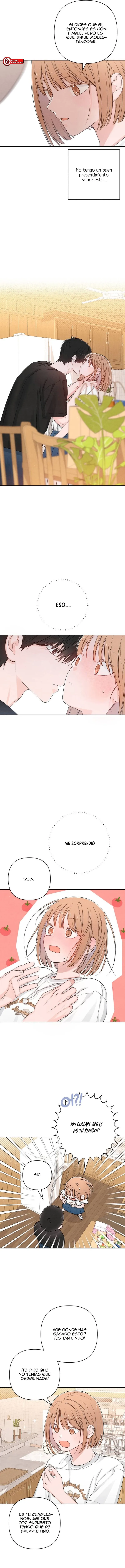 8 Revelación De la Juventud