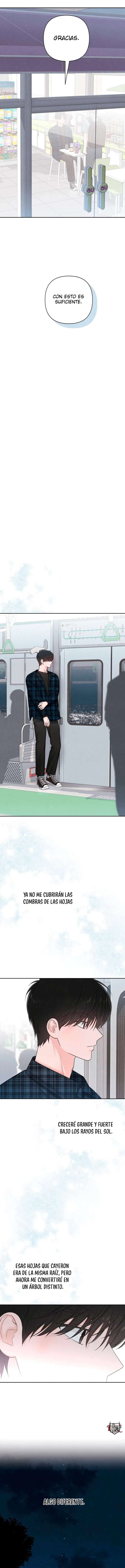 5 Revelación De la Juventud