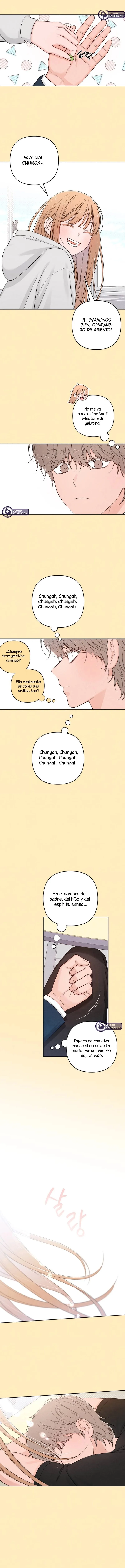 9 Revelación De la Juventud