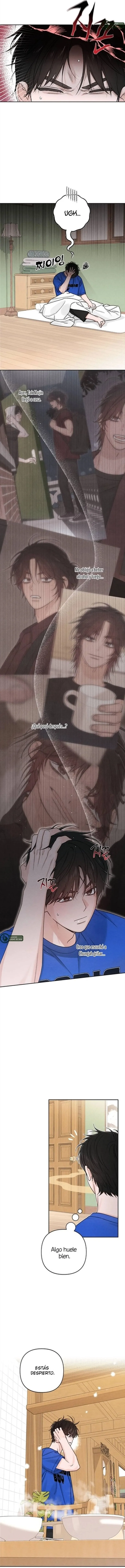 3 Revelación De la Juventud