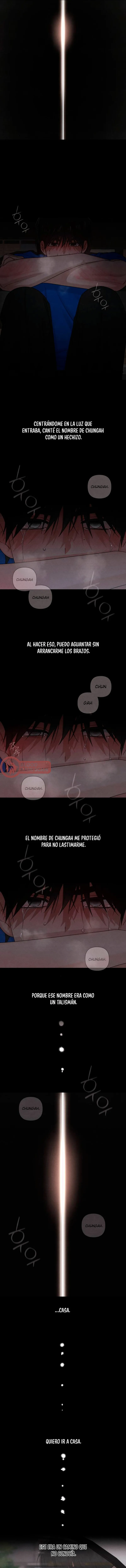 5 Revelación De la Juventud