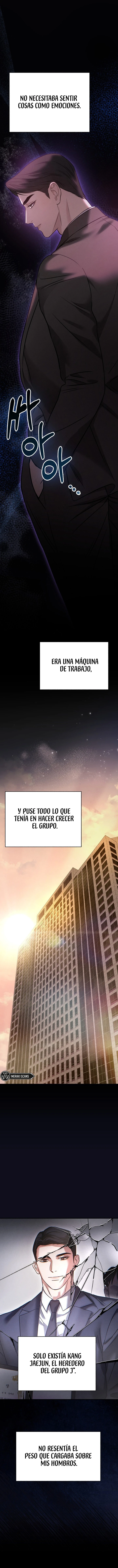 5 Compañeros nocturno