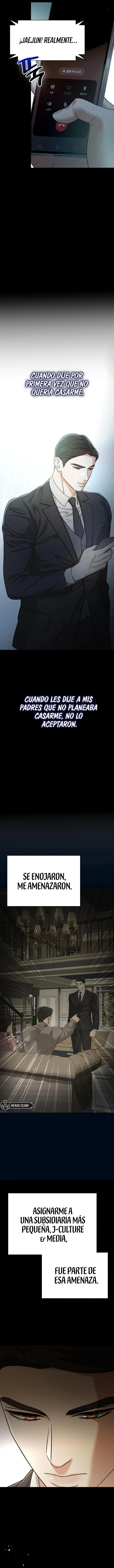 17 Compañeros nocturno