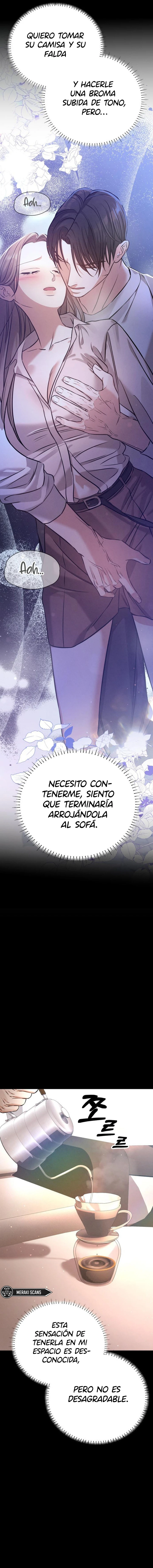 13 Compañeros nocturno