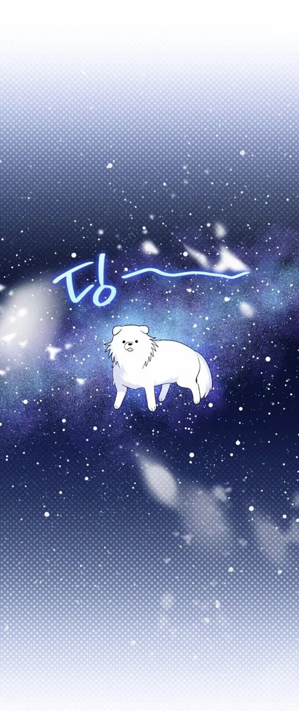 48 A Mi Querido Lobo