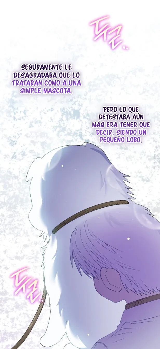 11 A Mi Querido Lobo