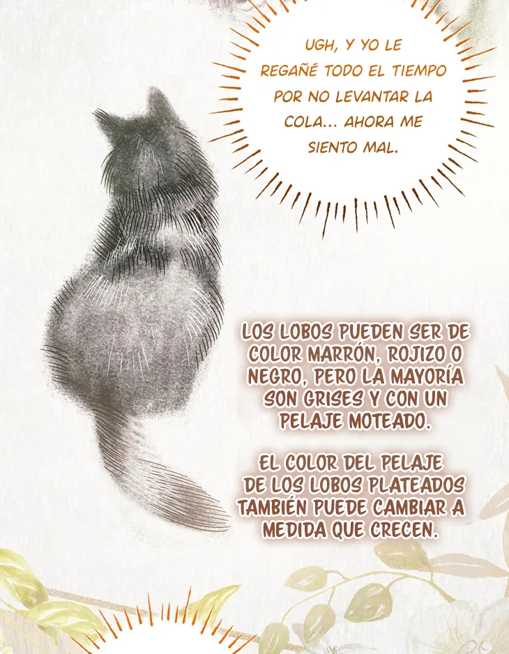 67 A Mi Querido Lobo