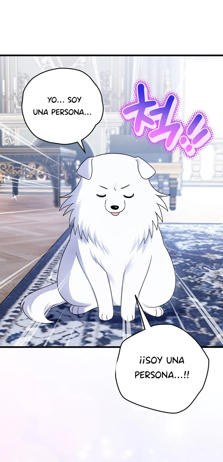 40 A Mi Querido Lobo