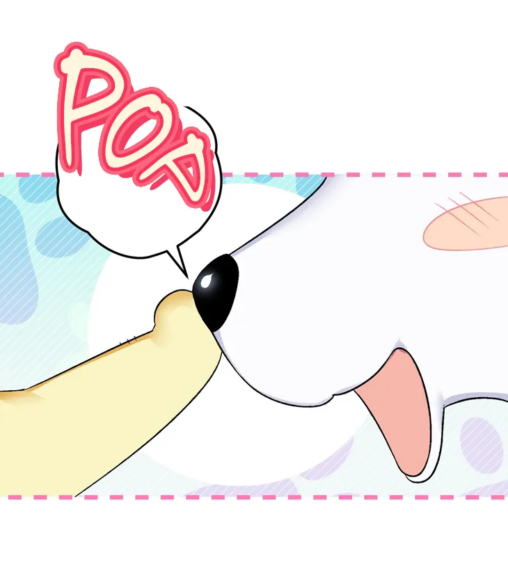 10 A Mi Querido Lobo