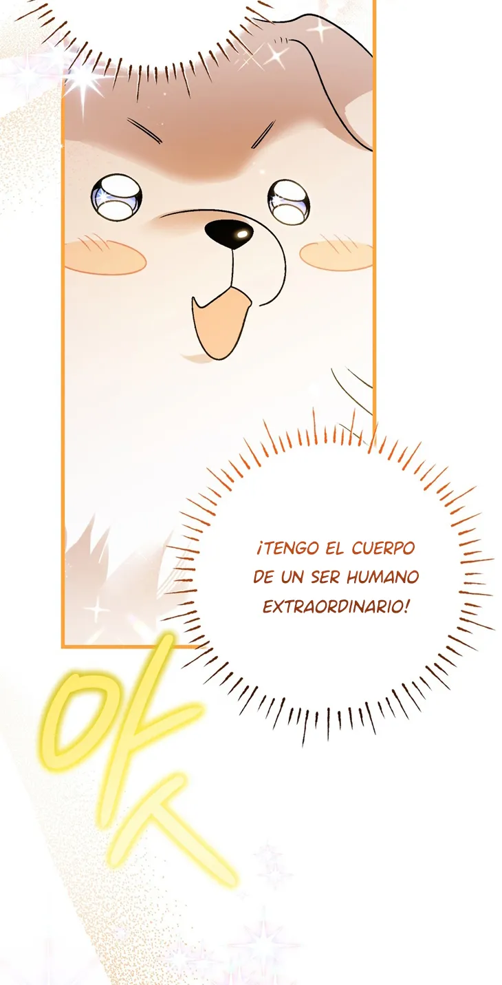 28 A Mi Querido Lobo