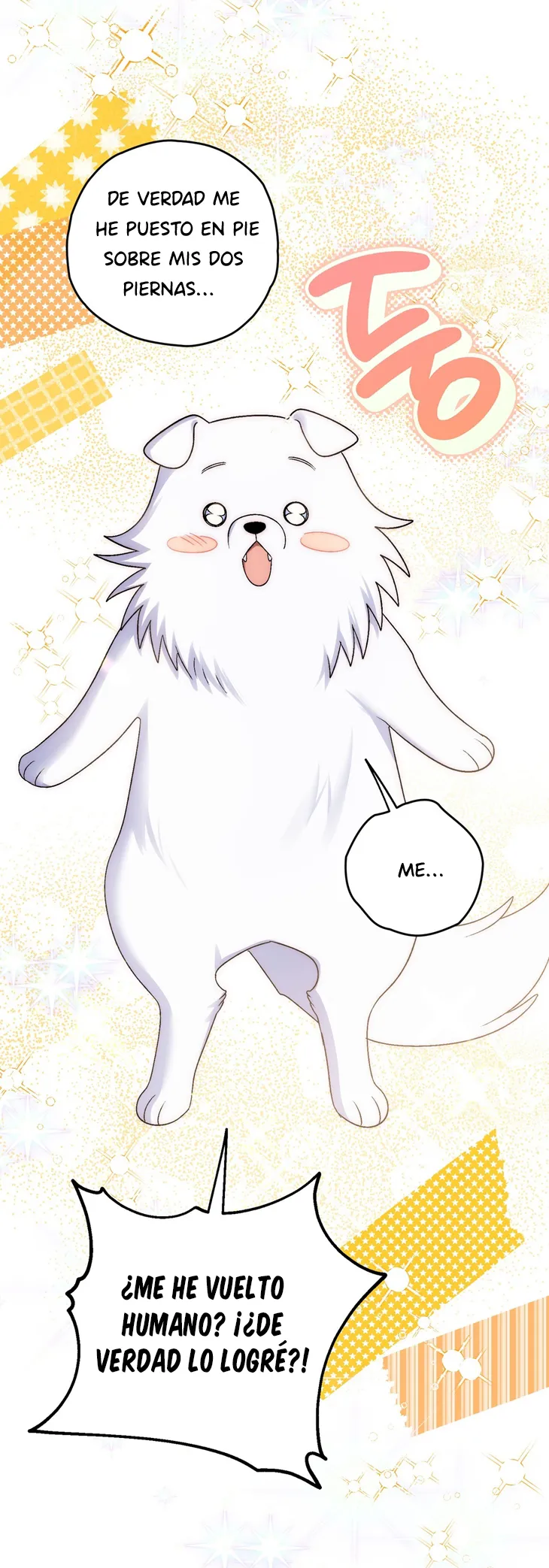 42 A Mi Querido Lobo