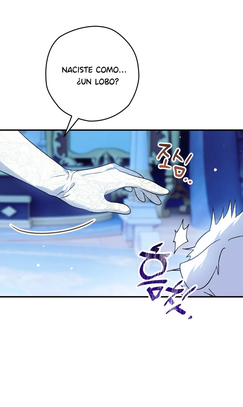 74 A Mi Querido Lobo