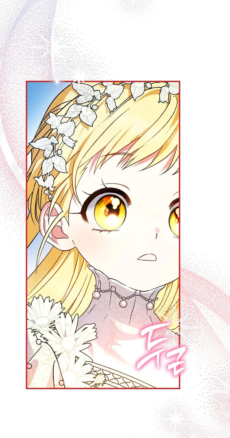 62 A Mi Querido Lobo