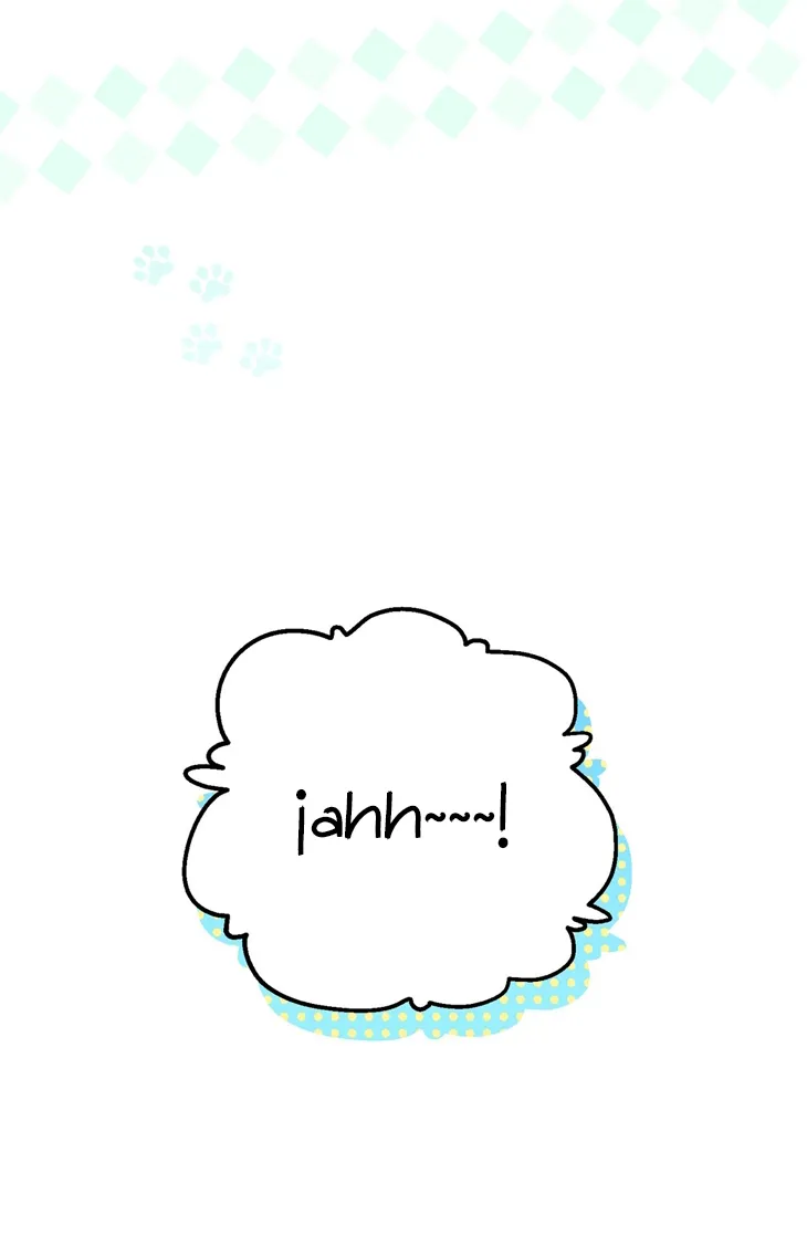 38 A Mi Querido Lobo