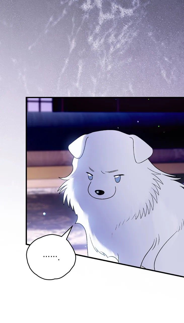 24 A Mi Querido Lobo