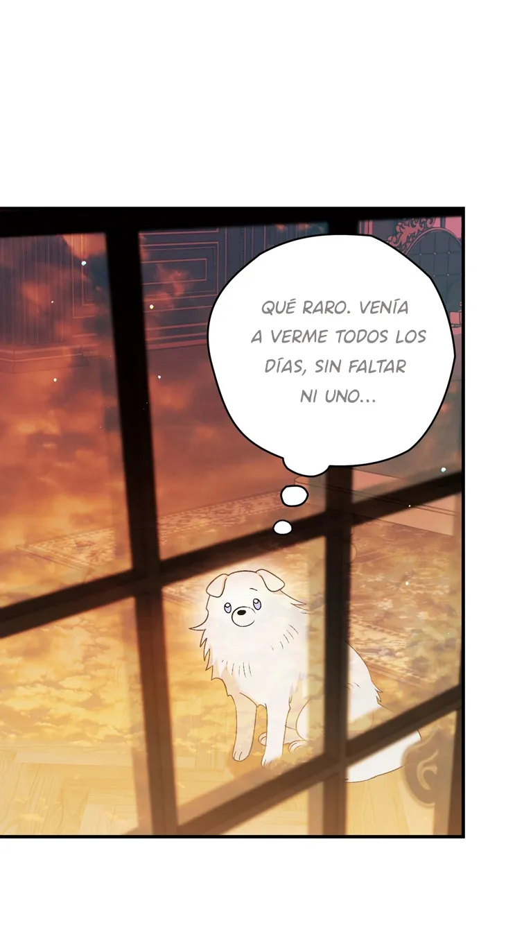 34 A Mi Querido Lobo