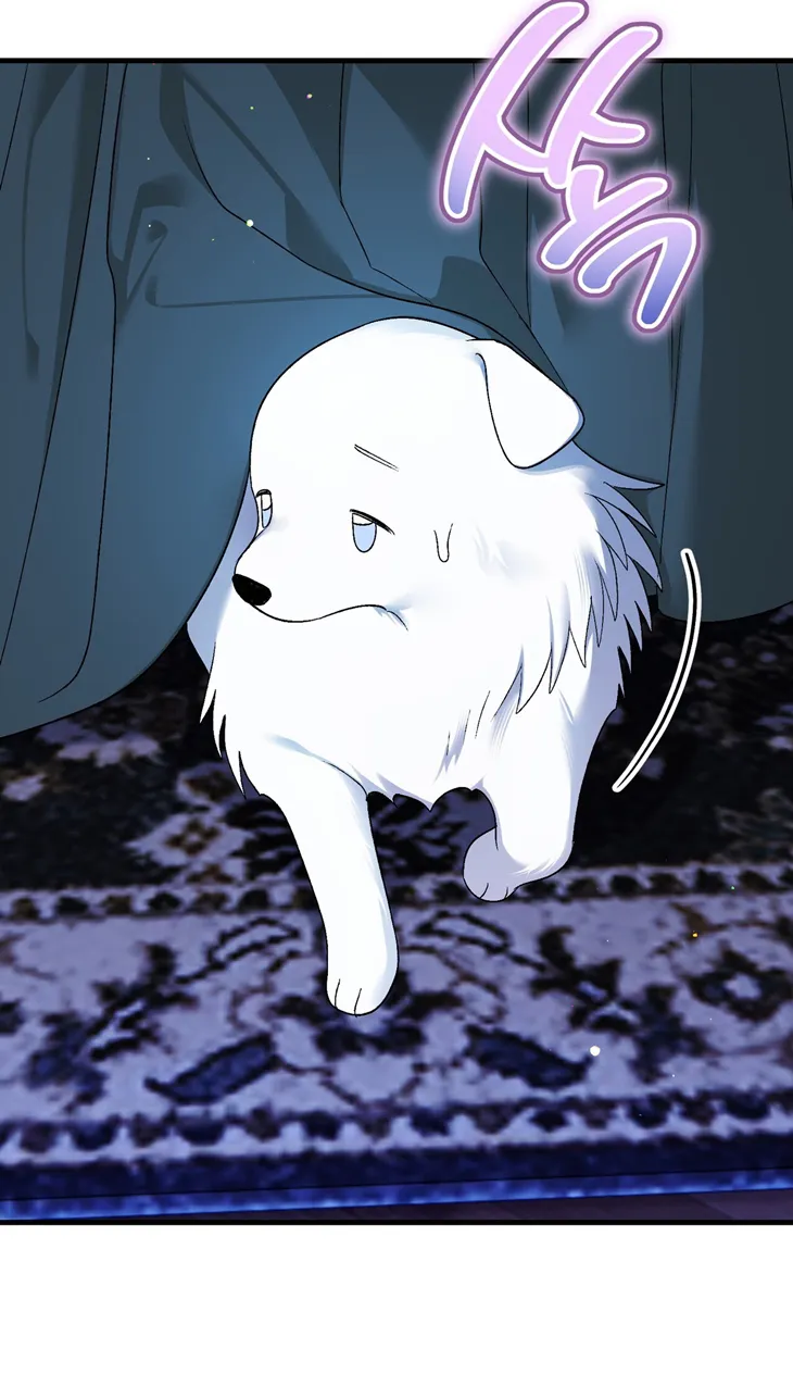 19 A Mi Querido Lobo