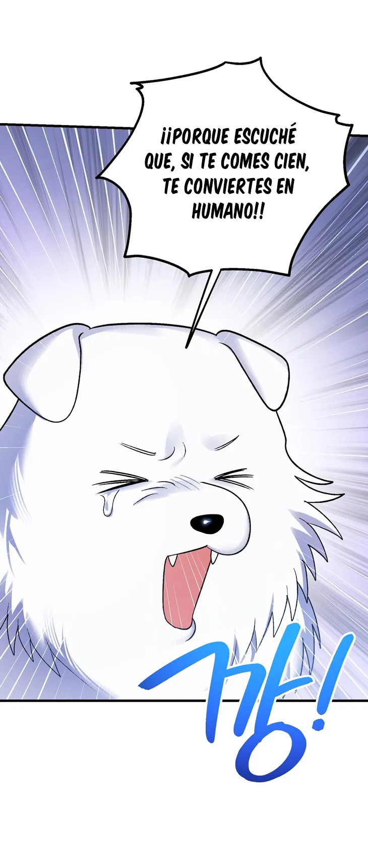 14 A Mi Querido Lobo