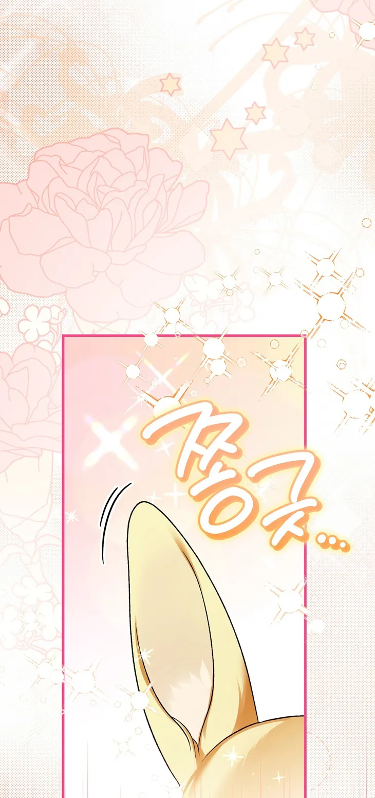 74 A Mi Querido Lobo