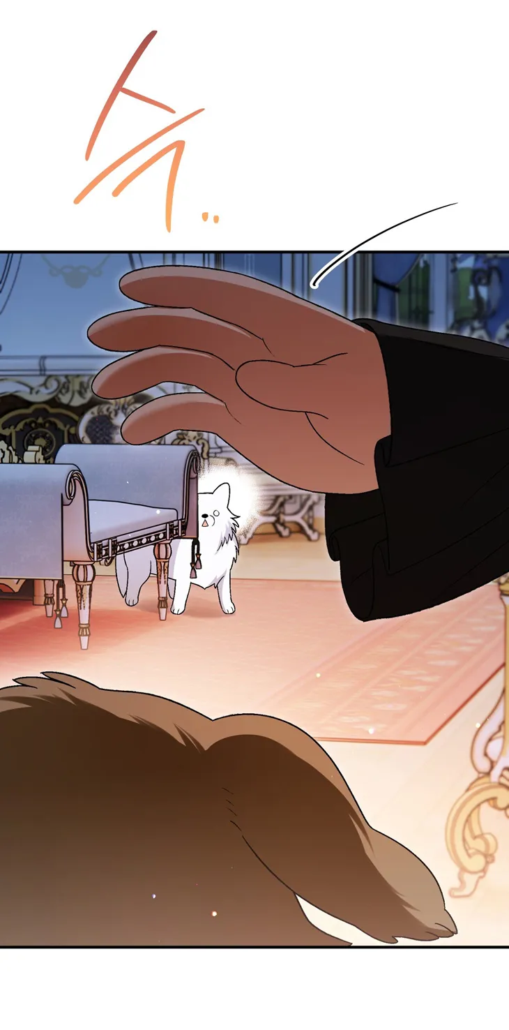 62 A Mi Querido Lobo