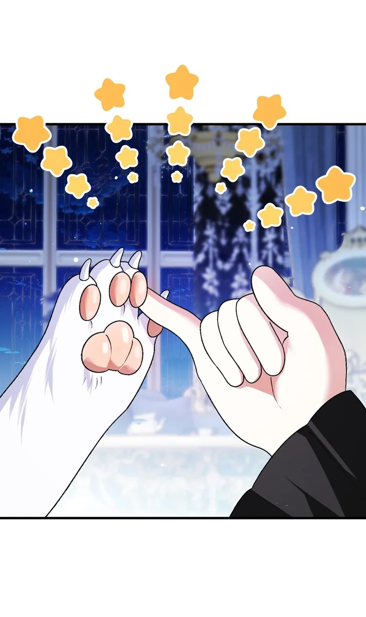 34 A Mi Querido Lobo