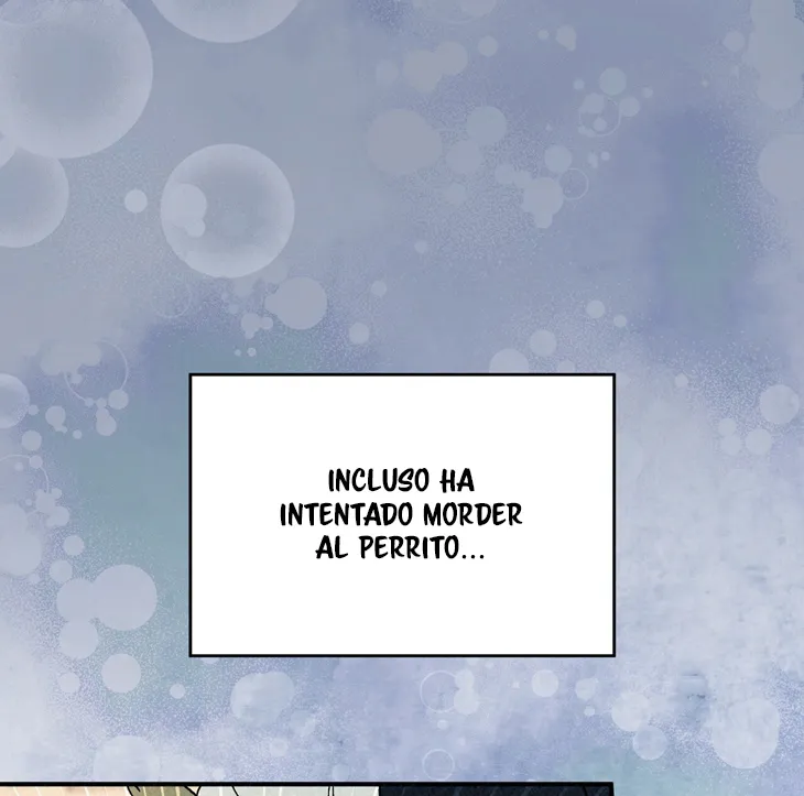 17 A Mi Querido Lobo