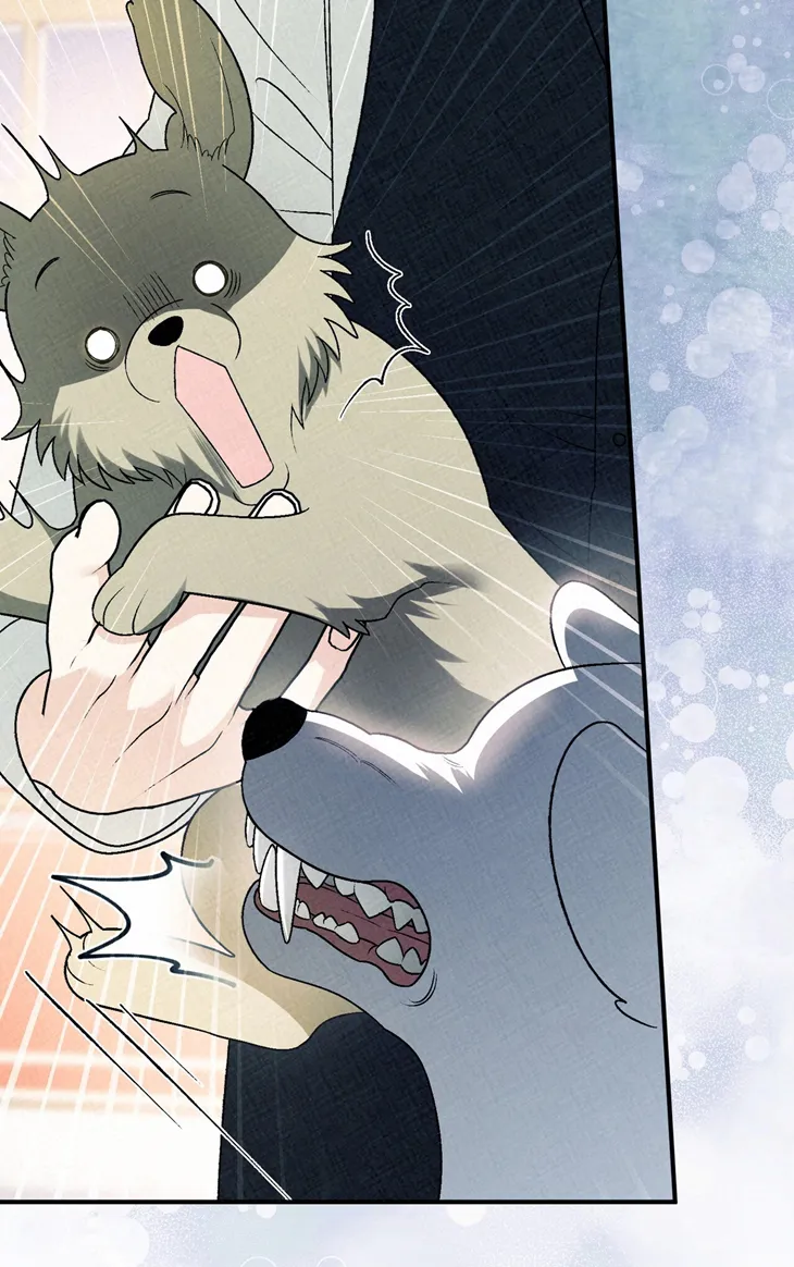 18 A Mi Querido Lobo